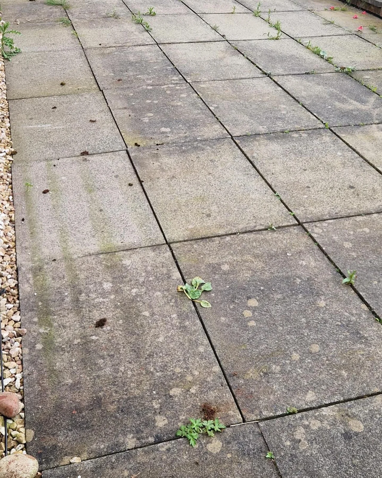 Paving refresh — photo 1 from the Eden Instagram image collection