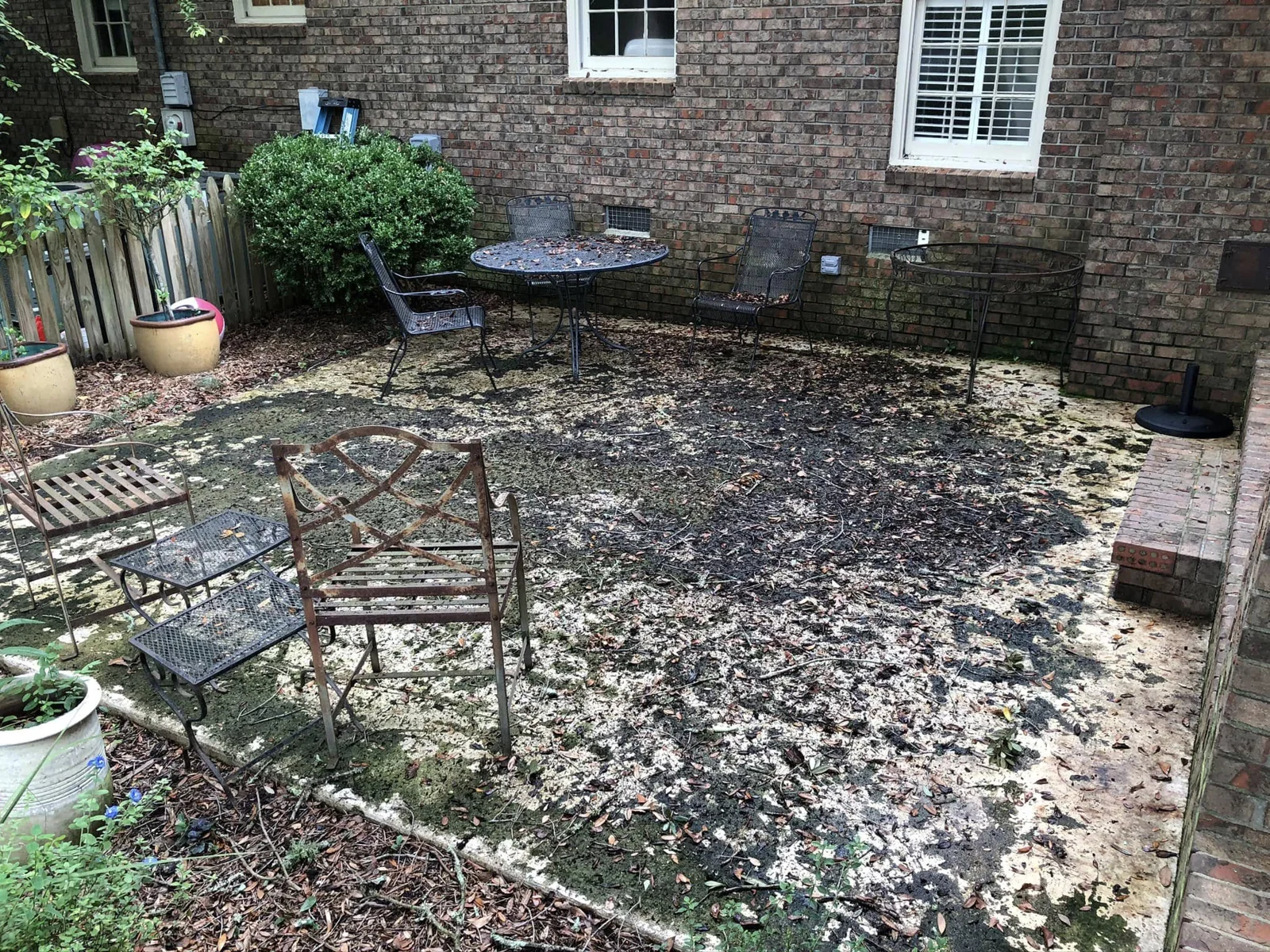 Courtyard patio — photo 2 from the Eden Instagram image collection