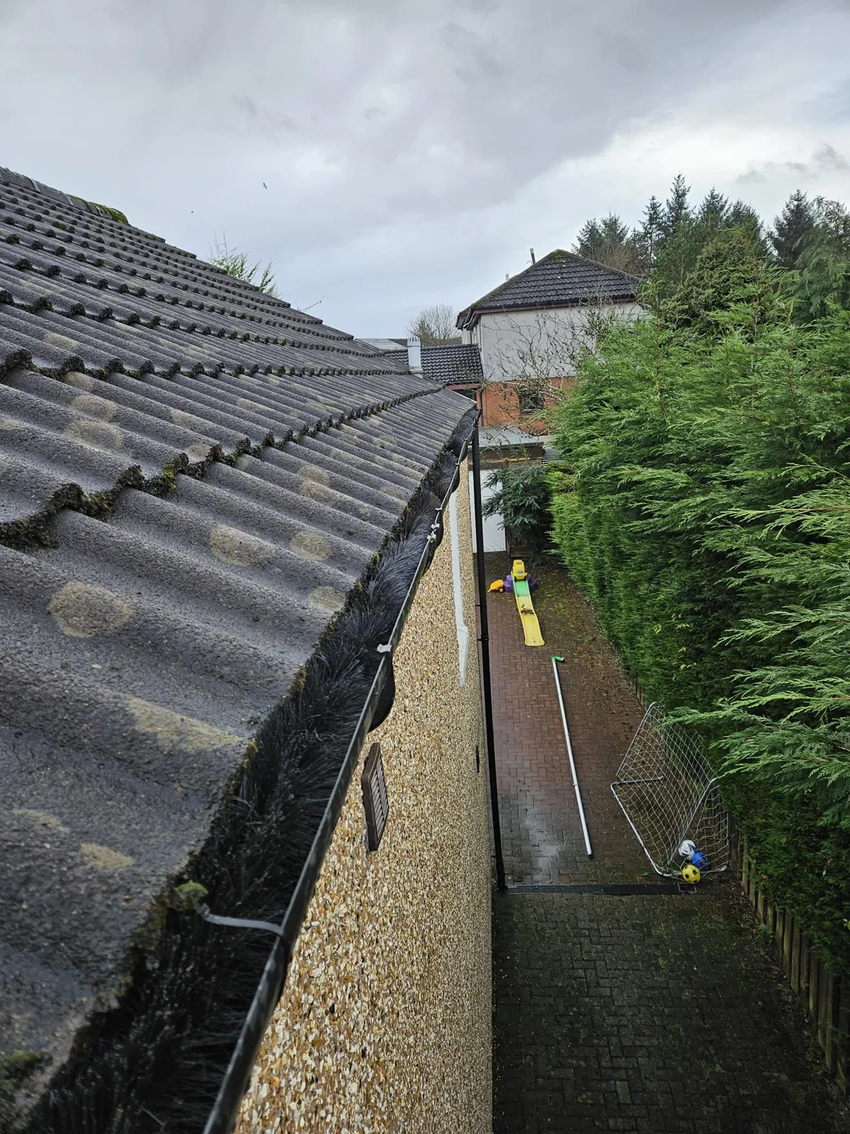 Roof & gutter care — photo 1 from the Eden Instagram image collection