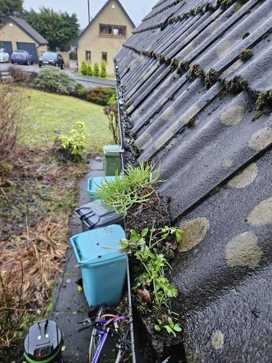 Roof & gutter details — photo 1 from the Eden Instagram image collection