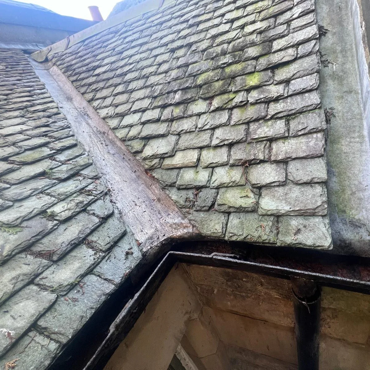 Roof tiles — photo 2 from the Eden Instagram image collection