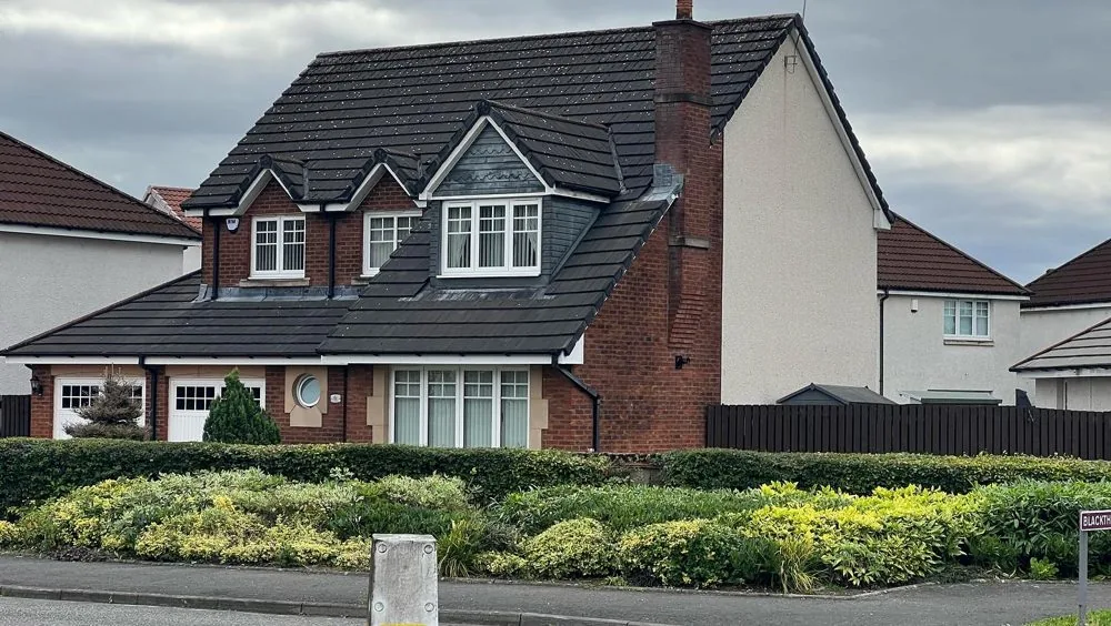 Maintained shrubs and planting around a residential property